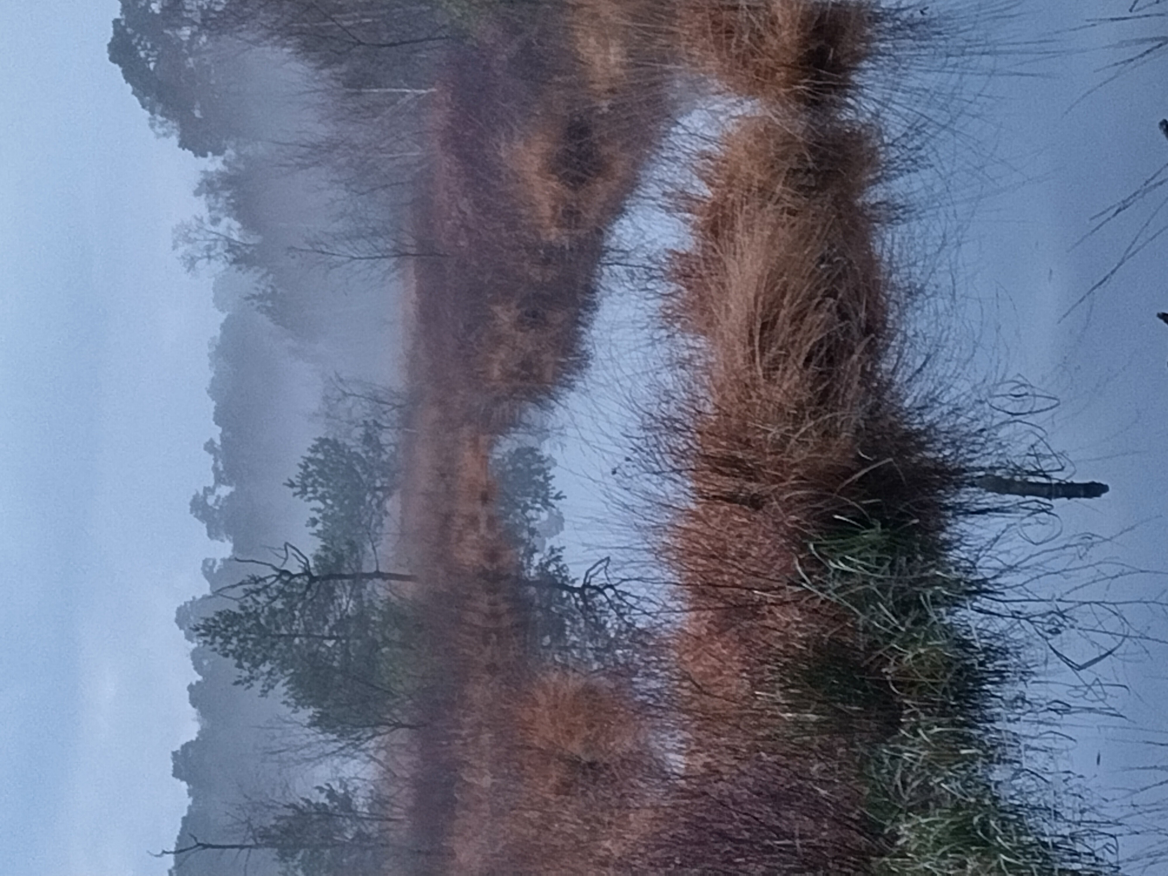 Ven (Nederland) Ven (Nederland)